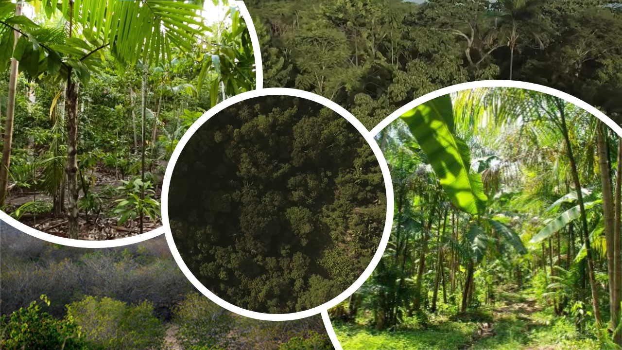 Dashboards Inteligentes