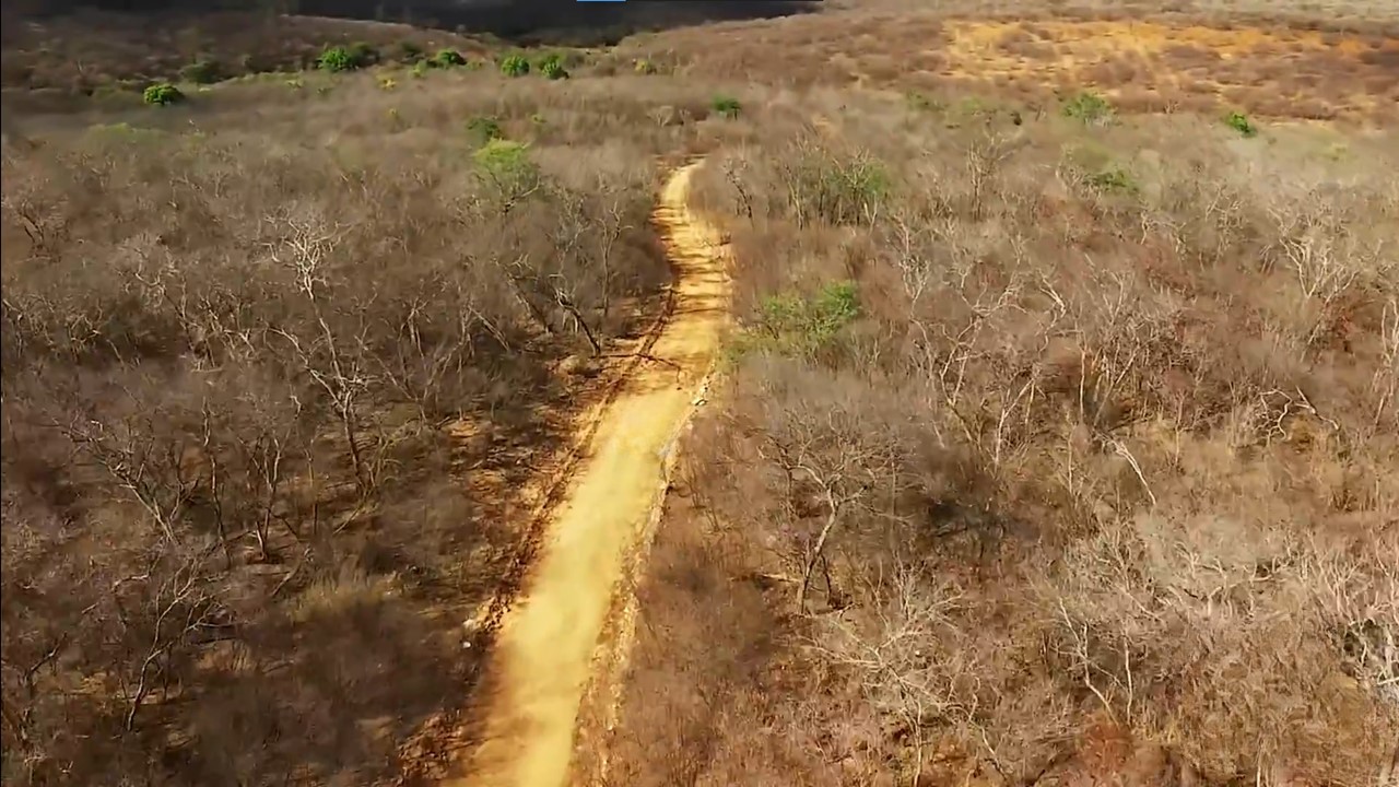 Dashboards Inteligentes