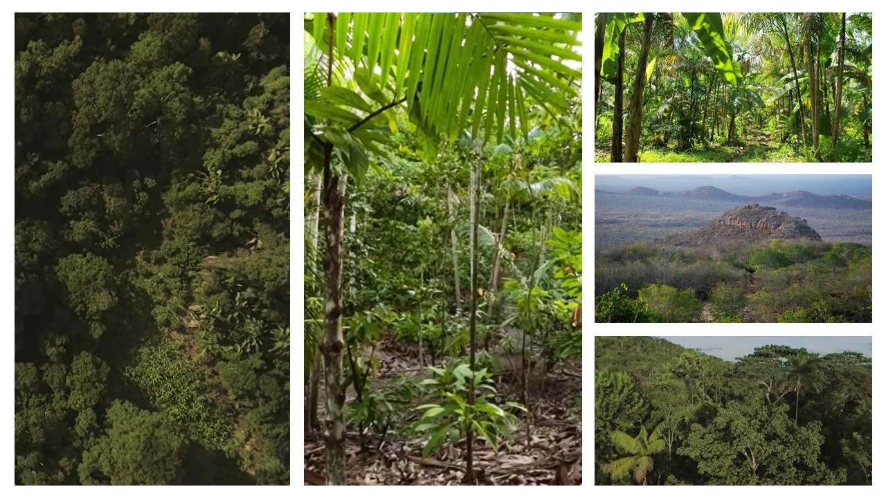 Dashboards Inteligentes