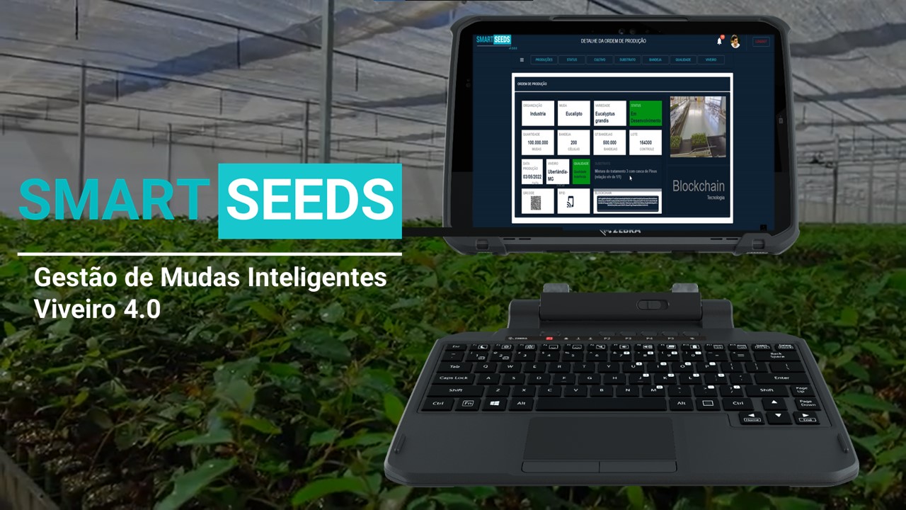 Dashboards Inteligentes